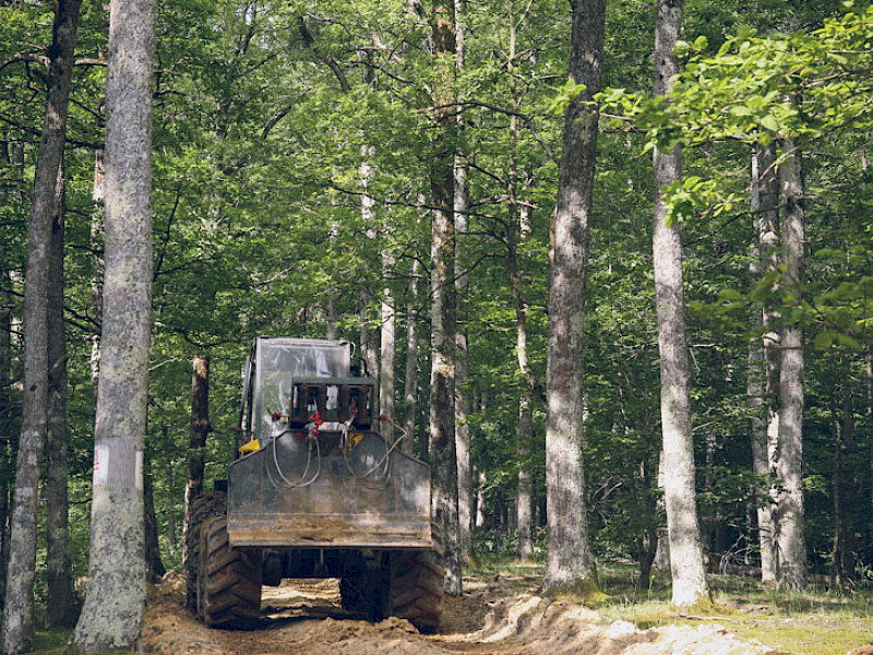 privlačenje drva iz šume - XYLOTEHNA